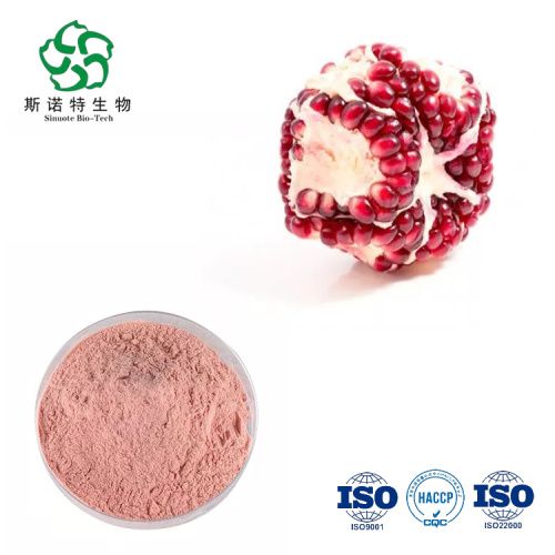 Pomegranate Juice Concentrate Powder Wholesale Price for Sale, Offer Pomegranate Juice Concentrate Powder Wholesale Price