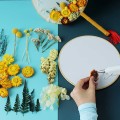 1 Bag Real Dried Flower Dry Plants Aromatherapy Candle Epoxy Resin Necklace Jewelry Diy Making Craft Home Accessories