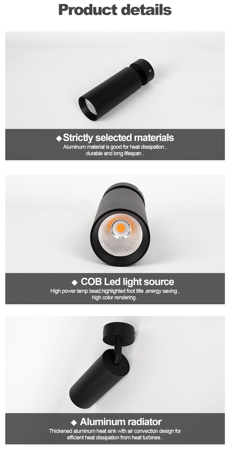 hanging track light