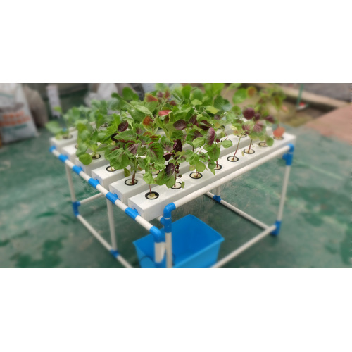 Agricultural Planting Flat Hydroponics Hydroponics Manufacturers and Agricultural Planting Flat Hydroponics Hydroponics Suppliers