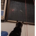 5mw 500 Meters Laser Pointer High Power Green Blue Red Dot Laser Pen Powerful Focus Laser Sight Teaching Cat Training Toy
