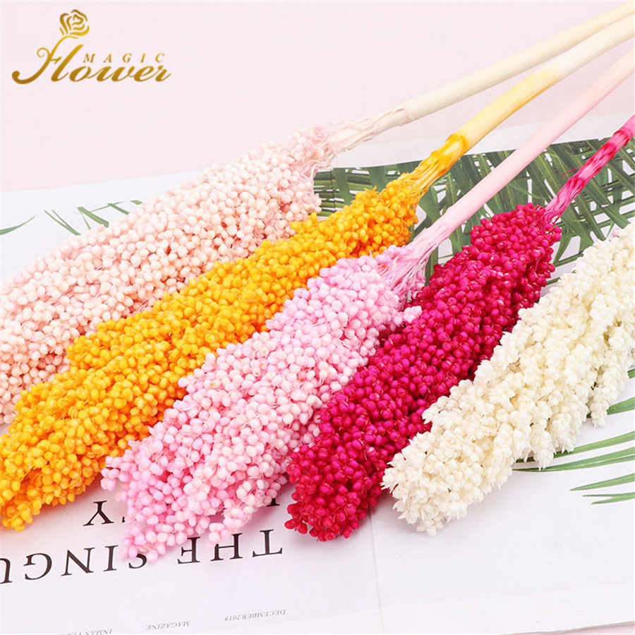 2pcs Sorghum Bouquet Natural Dried Flower Preserved Immortal Sorghum Home Living Room House Decoration