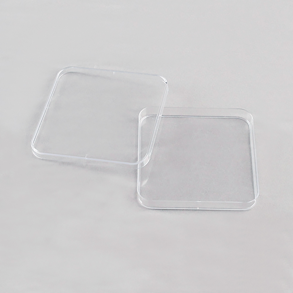 100mm Square Culture Dish