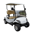 2 seater  lithium battery golf buggy