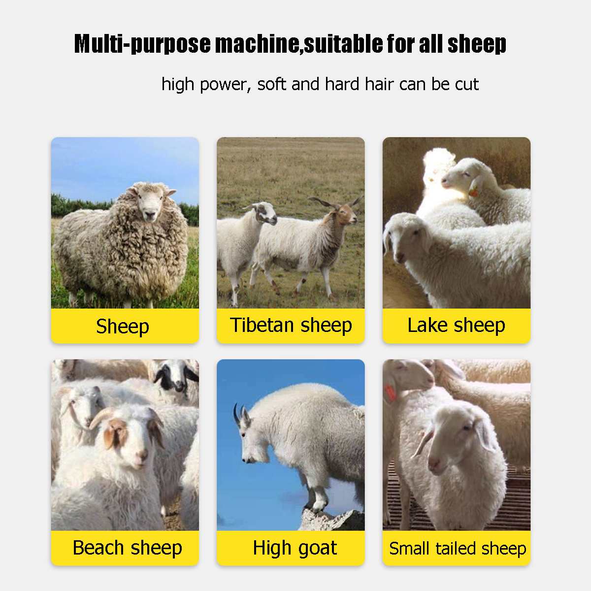 1200W EU Plug Electric Sheep Pet Hair Clipper Shearing Kit Shear Wool Cut Goat Pet Animal Shearing Supplies Farm Cut Machine