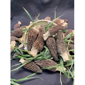 Yunnan Deep Mountain Morels