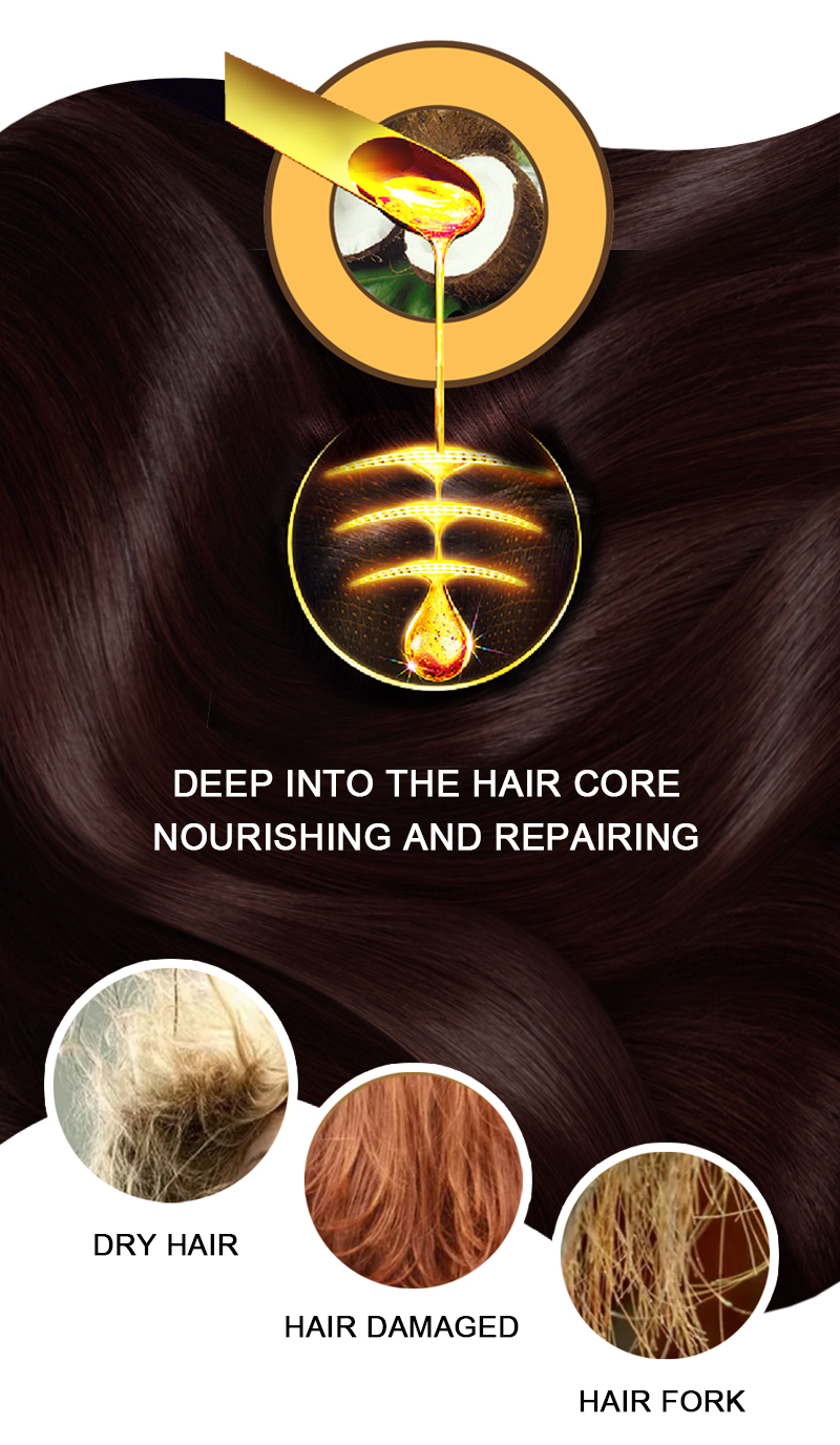 Nutrition Argan Oil Coconut Oil Ginger Nourishing Repair Damaged Hair Mask Soft Hair Scalp Treatment Mask 10ml Dropship TSLM1