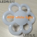 40w white