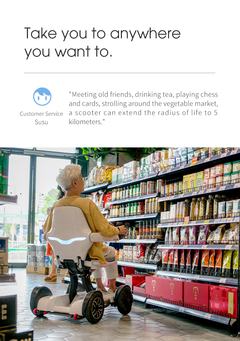 Adult Power Wheelchair