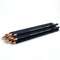 professional 14pcs 6H-12B Pro Art Drawing Sketching Black Simple SET of Pencils for Artist the pencils for drawing school sets