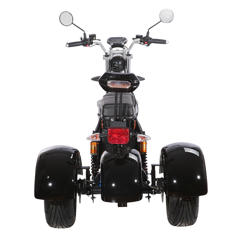 3 Wheel Citycoco Electric Motorcycle Electric Tricycles Adult Icluding EU Customs No Taxes 60V 20ah Removable Lithium Battery