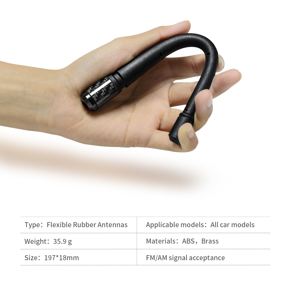 Car Antenna 1 Jpg