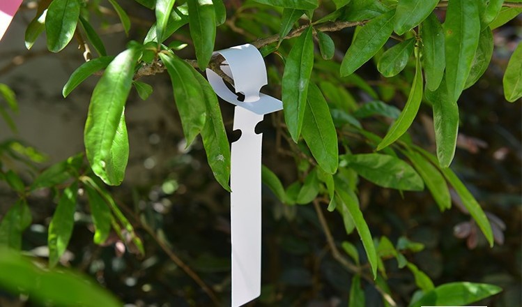 100pcs Waterproof Plant Markers Plastic Plant Hanging Tags Gardening Plant Marker Label Tools Garden Pots & Planters Supply
