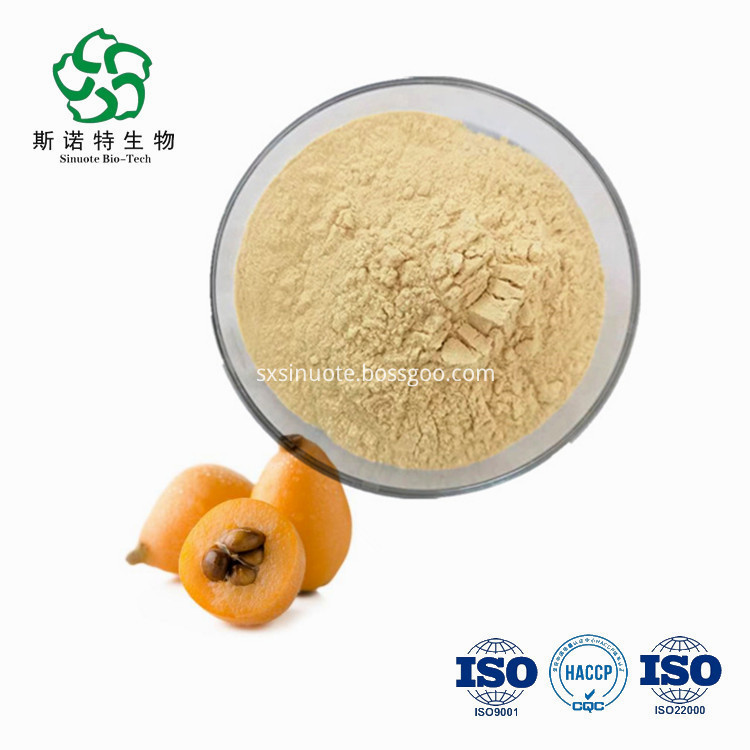 Pure Natural Loquat Fruit Powder
