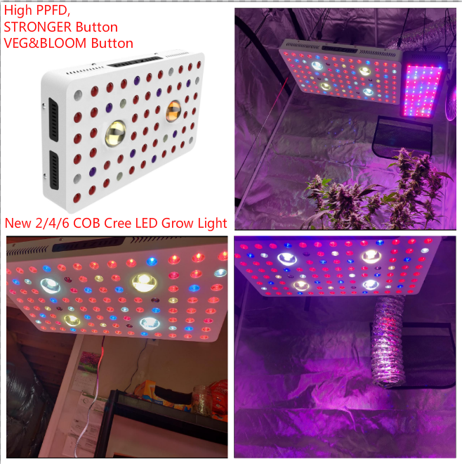 COB Led Light