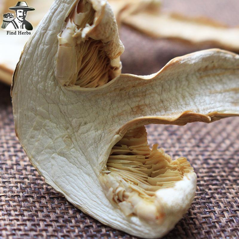 Dried Tricholoma Matsutake, Chinese Rare Pine Mushroom For Soup, Song Kou Mo, Song Rong
