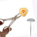 TTLIFE 2Pcs Piping Flower Scissors Nail Safety Rose Decor Lifter Fondant Cake Decorating Tray Cream Transfer Baking Pastry Tools