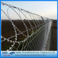 galvanized flat security fencing razor barbed wire