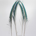 Wholesale 100pcs beautiful 30-35 cm 12-14 inches Natural peacock feather sword left and right Symmetric