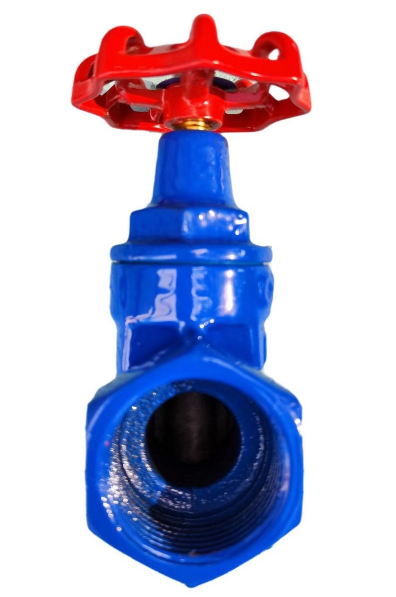 Ductile iron gate valve (5)