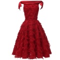 New FashionTeenager Party Princess Clothes Slim Lace Dress Temperament Wild Trend Small fringe big swing Dress