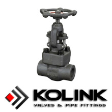 Forged Steel Globe Valve (SW/Threaded End)