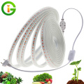 LED Grow Strip Full Spectrum Waterproof AC220V LED Grow Light 2835 LED Phyto lamps For Plants Flowers Greenhouses Hydroponic