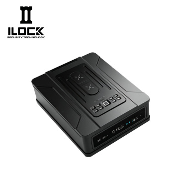 Modern Slide-out Gun Safe WX005-2 Unit