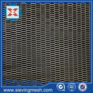 Stainless Steel Expanded Hexagonal Mesh