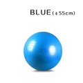 Blue 55cm