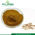 GMP Standard Herbal Angelica Sinensis Extract Powder