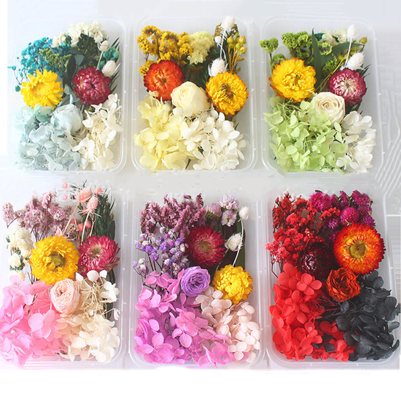 1 Box Real Dried Flower Dry Plants For Epoxy Resin Pendant Necklace Jewelry Making Craft DIY Accessories Valentine's Day Gift