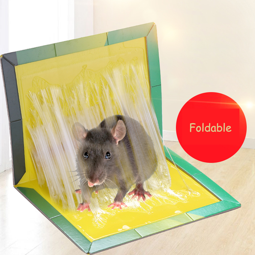 Efficient sticky mouse board super strong big rat paste household mousetrap rat poison rat glue boards clip