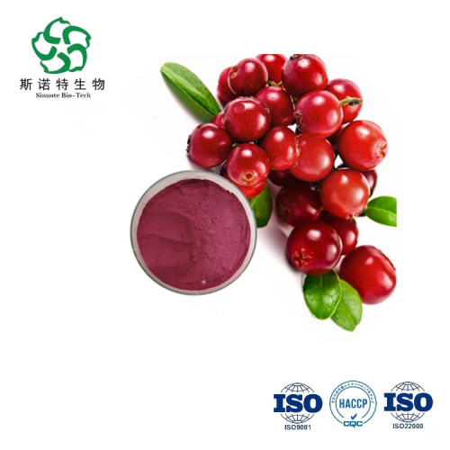 pure Blushwood berry extract dried fruit Cranberry Powder for Sale, Offer pure Blushwood berry extract dried fruit Cranberry Powder