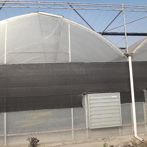 Large Plastic Film Multi Span Greenhouse Manufacturers and Large Plastic Film Multi Span Greenhouse Suppliers