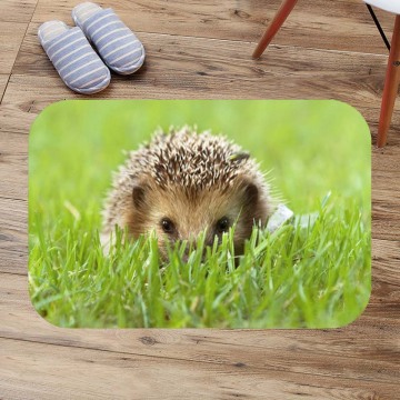 Bath Mats hedgehog Anti Slip Bathroom Mat Suede Floor Bath Mat Washable Toilet Rugs Custom Kitchen Carpet