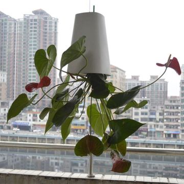 2019 New Sky Garden Creative Aerial Flower Pot Plastic Hanging Pot Orchid Pot Upside Down Small Flower Pot Inverted Planter