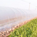 https://www.bossgoo.com/product-detail/biodegradable-eco-friendly-agricultural-plastic-film-58438623.html
