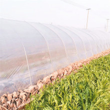 Biodegradable Eco-friendly Agricultural Plastic Film