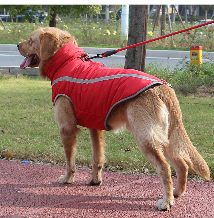 Pet Clothing Wholesale