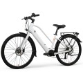 https://www.bossgoo.com/product-detail/customized-two-person-electric-bike-63248680.html