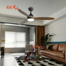 ESC Lighting ceiling fan for home bathroom