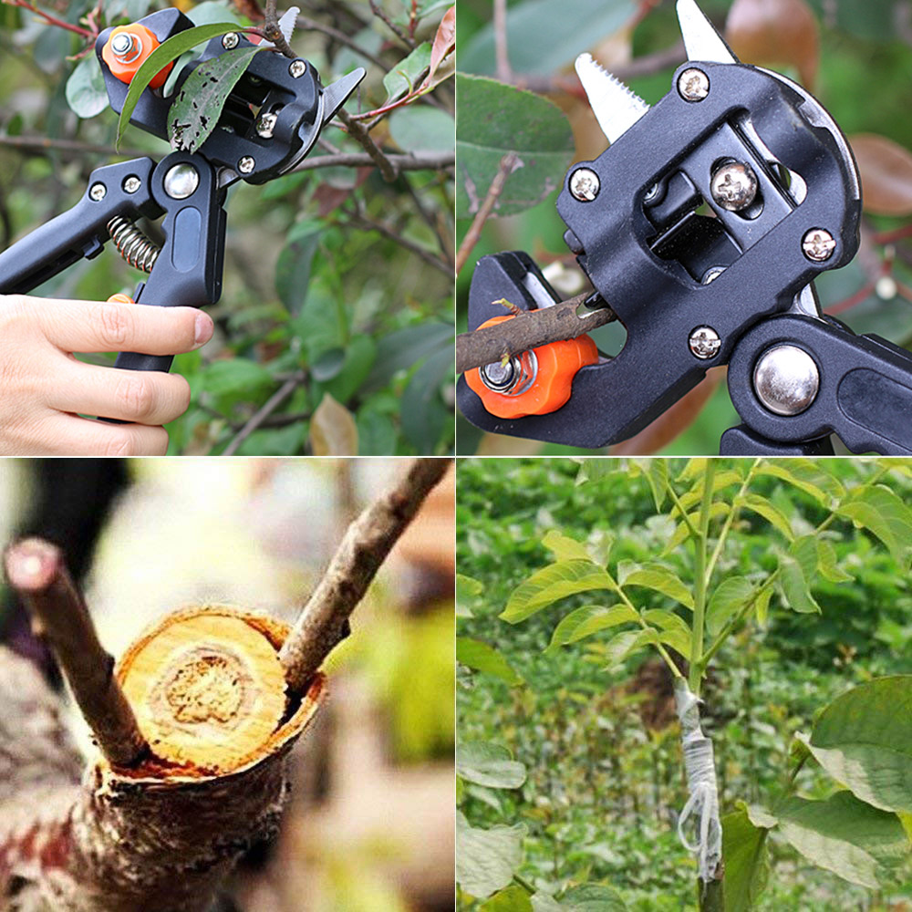 Garden Tools Grafting Pruner Chopper Vaccination Cutting Tree Plant Shears Scissor Fruit Tree grape vine Graft tool Dropshipping