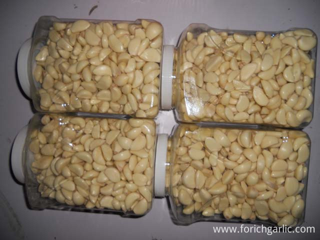 Peeled Garlic Peeled Garlic
