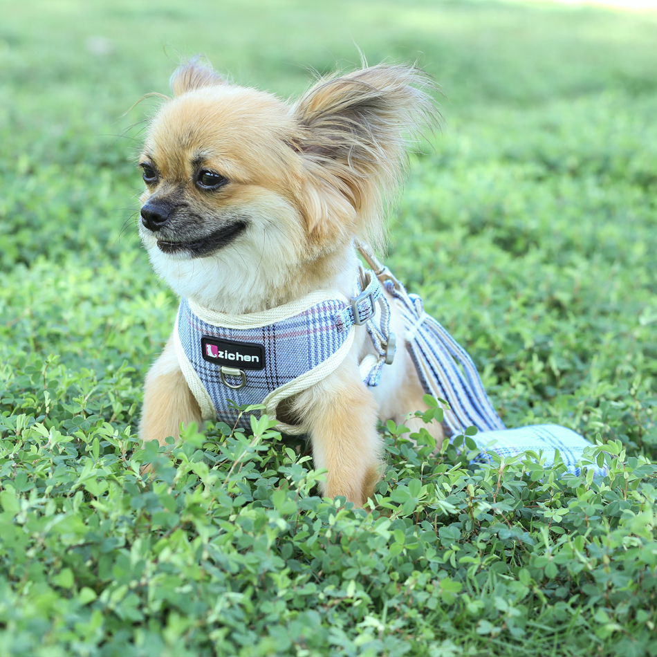 Pet Dog Harness Vest Leash Snack Bag Adjustable Soft Warm Puppy Cat Harness Leash Set For Small Medium Pet Vest Dog Supplies