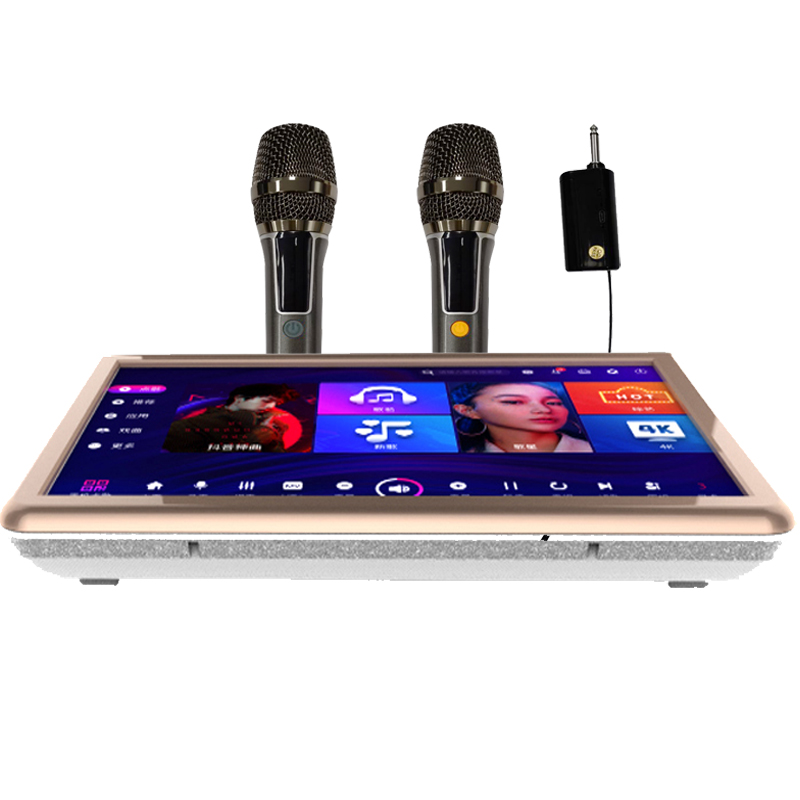 19.5" ECHO cloud karaoke player, 2TB HDD 40k Chinese + English songs, built-in hybrid amplifier, Android and KTV dual system