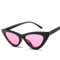 Cat Eye Sunglasses Women Sexy Retro Small Cateye Sun Glasses Mens 2020 Brand Designer Colorful Eyewear Shades For Female