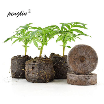 Bonsai 300 Pcs 30mm Jiffy Peat Pellets Seed Starting Plugs Seeds Starter Pallet Seedling Soil Block Round Professional Tool 2019
