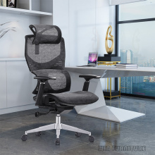 Ergonomic Mesh Fabric Office Chair
