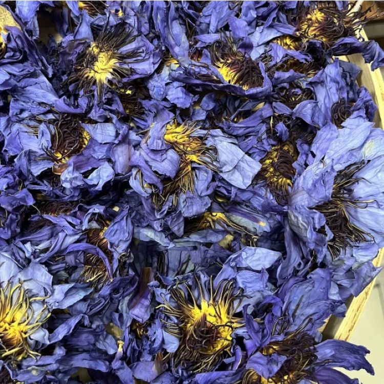 Dried Blue Lotus Flowers (5)